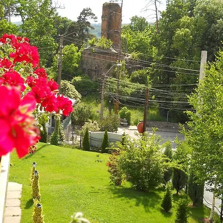 Casa Domneasca 호텔